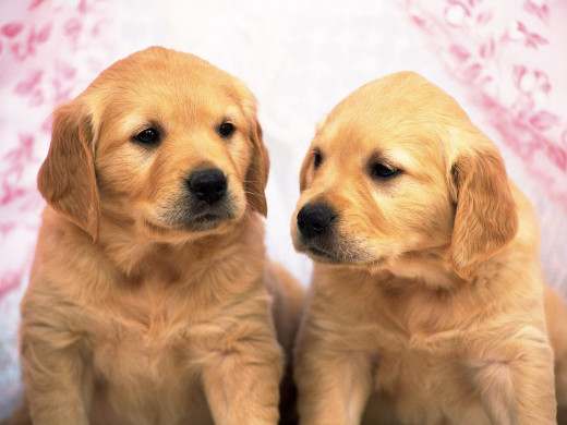 349452 (a): :1600x1200